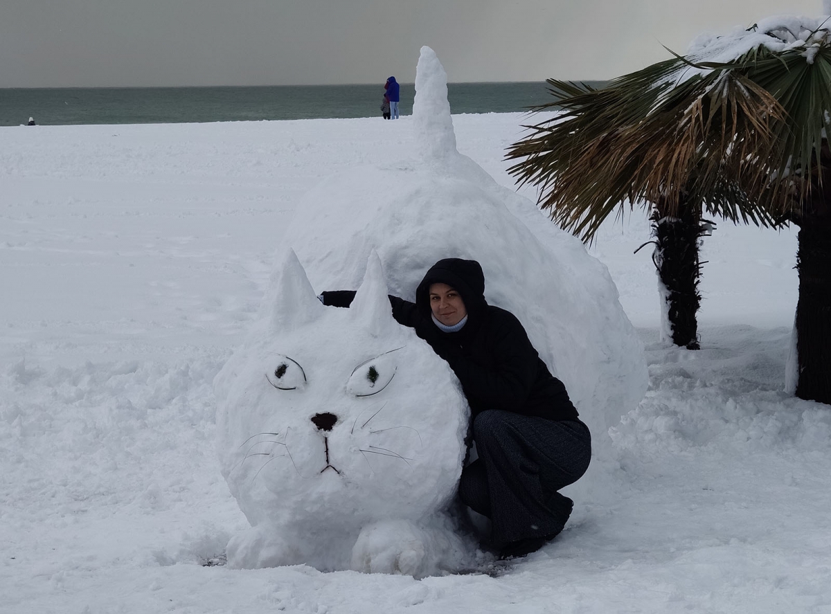 Когда снегопад раз в несколько лет