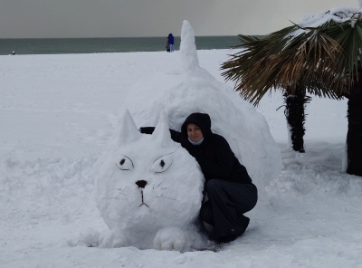 Когда снегопад раз в несколько лет